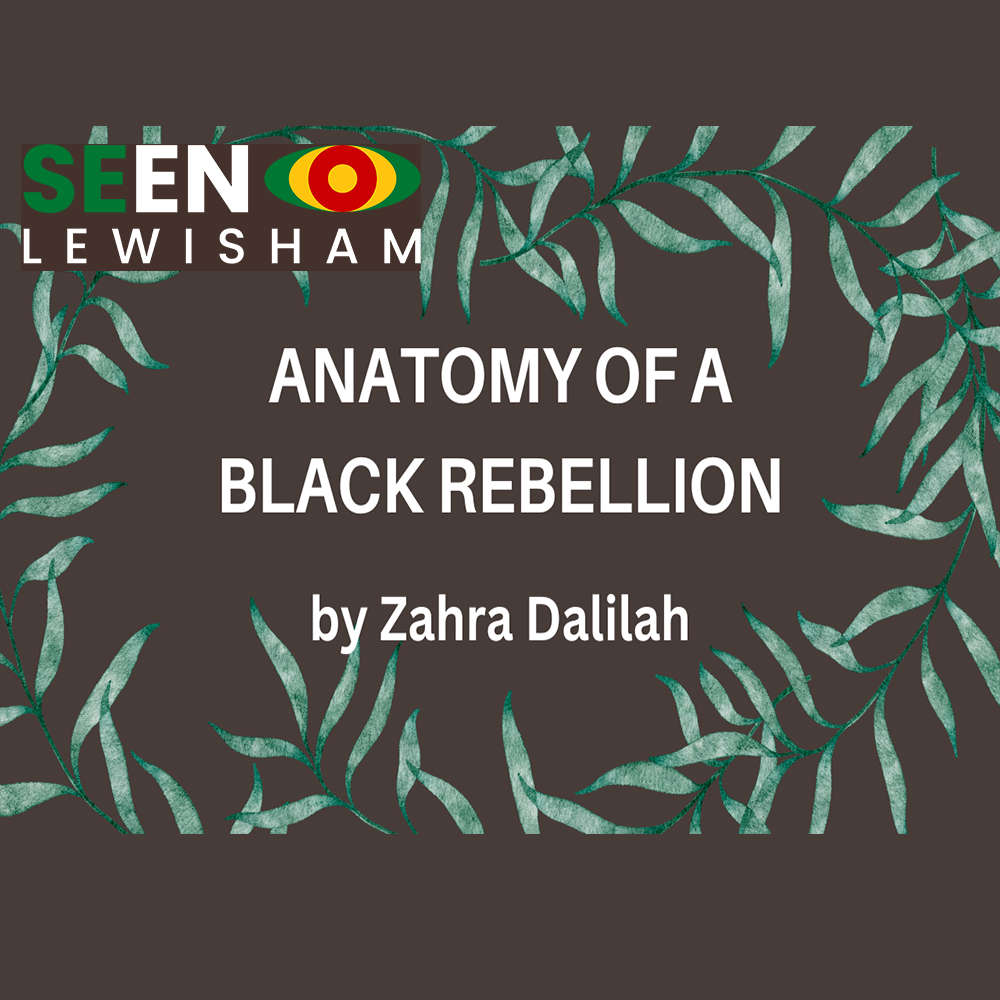 Anatomy of a Black Rebellion